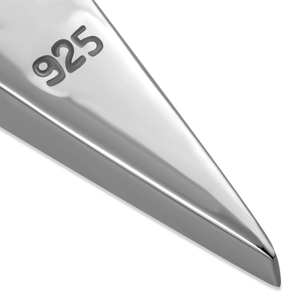 Contemporary Stone Earrings - Icicles with Abalone Shell