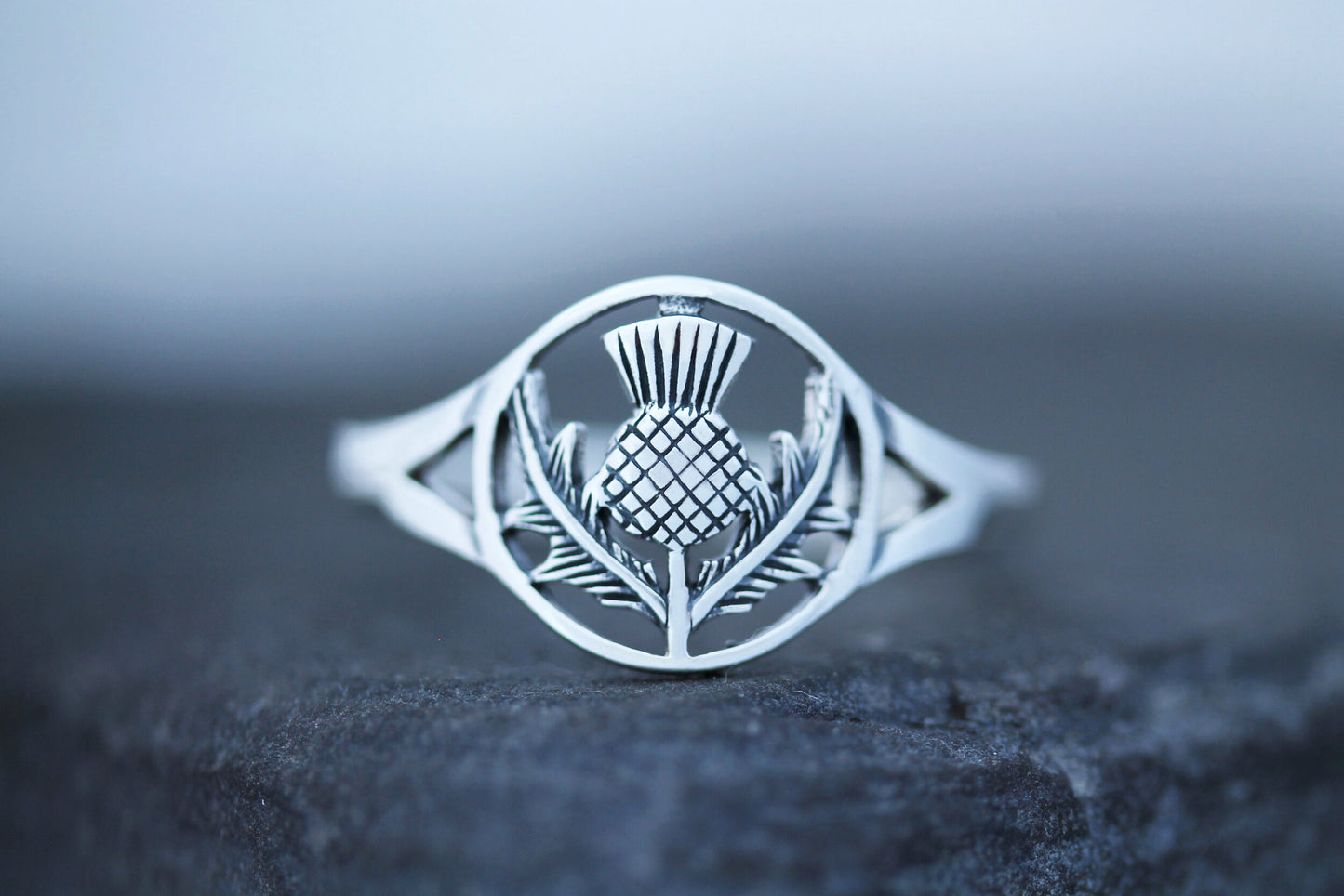 Scottish Thistle Ring - Circle Emblem