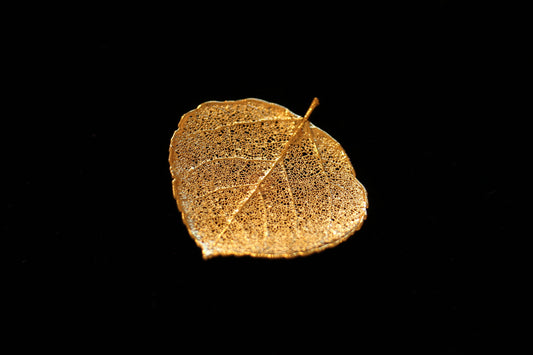 Gold Aspen Leaf Brooch