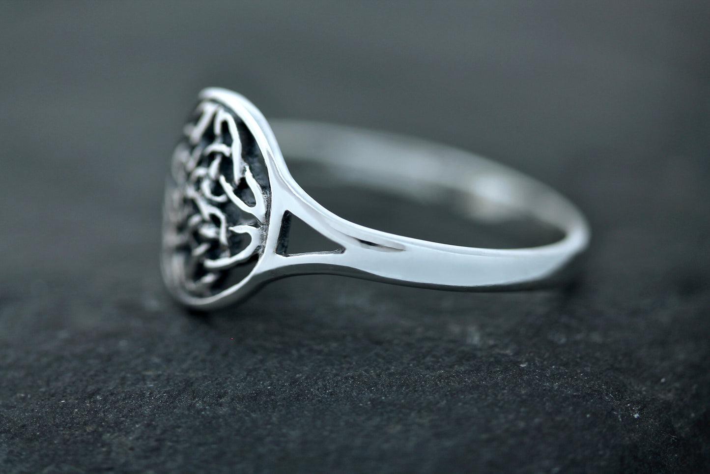 Celtic Knot Ring - Four Seasons Shield